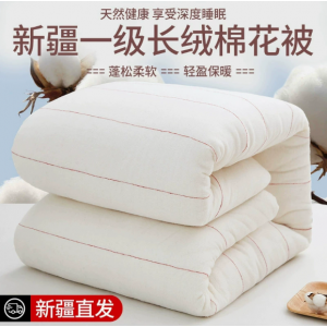 Xinjiang Grade 1 Cotton Mattress Pad / Filled Mattress Topper